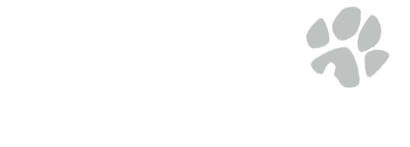 Patechucho
